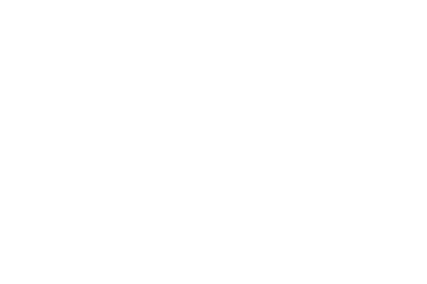 hanner