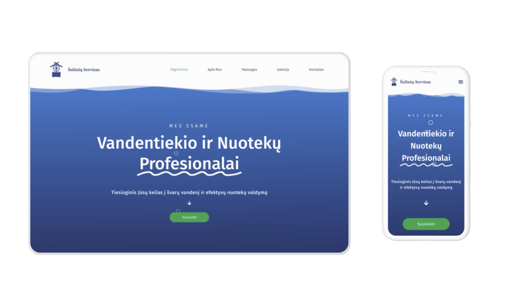 suliniu servisas preview