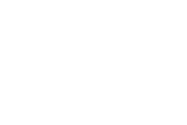 suliniu servisas